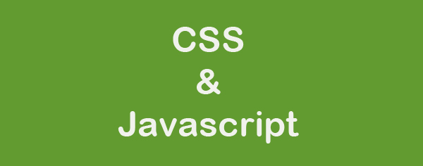 جلوگیری از ایندکس فایل های CSS و javascript ممنوع!